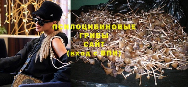 дурь Волоколамск