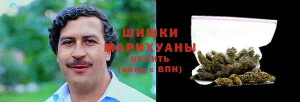 PSILOCYBIN Вязники