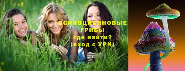 мдпв Волосово