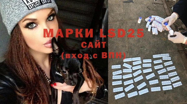 прущий лед Вяземский