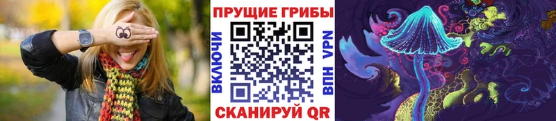 Псилоцибиновые грибы Cubensis  Мценск 